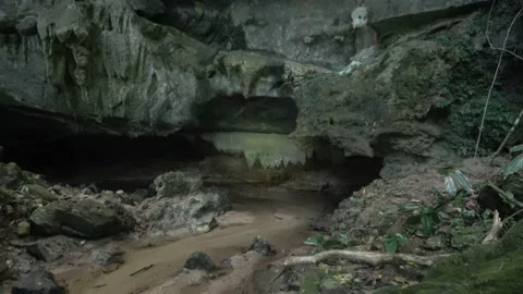 Cave and stream, Malaysia Stock Footage 224400859