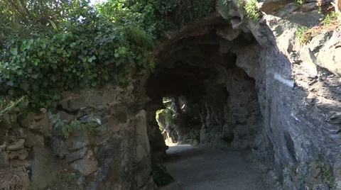 A cave in the botanical garden Video stock 57750495