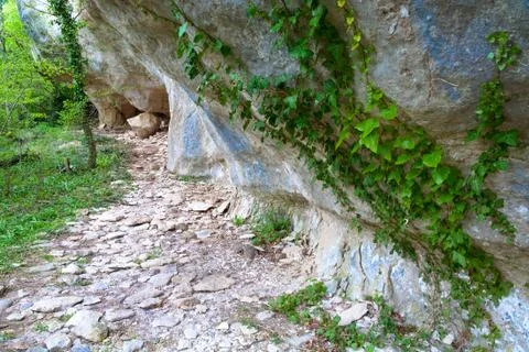 Cave canopy in rocky mount Stock Photos