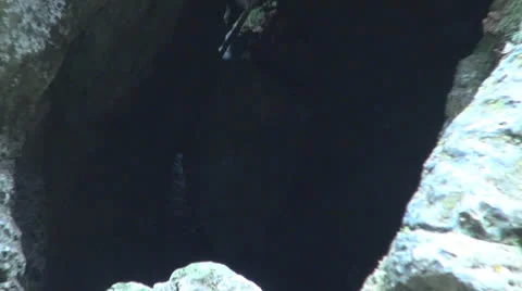 Cave in Carpathian Mountains. 스톡 동영상 24226905