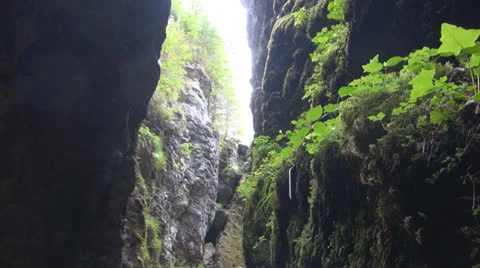Cave in Carpathian Mountains. 스톡 동영상 24227146