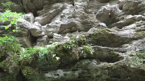 Cave in Carpathian Mountains. 스톡 동영상 24229221