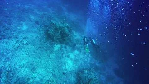 Cave dive underwater diving blue scuba divers exploring Stock Footage 99013125