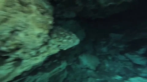Cave Diving in a Cenote Vídeos de archivo 200476083