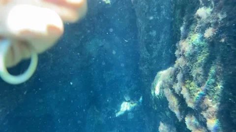 Cave Diving in a Cenote Stock Footage 200476243