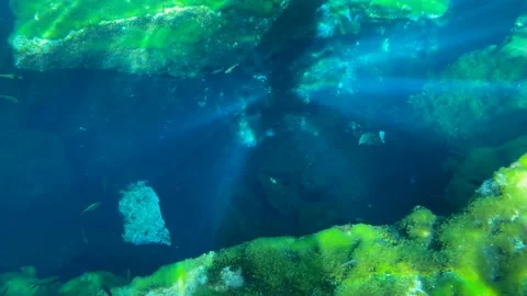 Cave Diving in a Cenote Stock Footage 200476379
