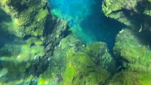 Cave Diving in a Cenote Stock Footage 200476452