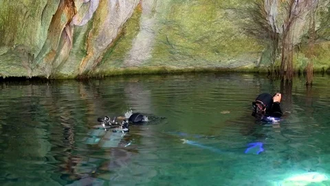 Cave diving cenote Mexico Stock Footage 90549542