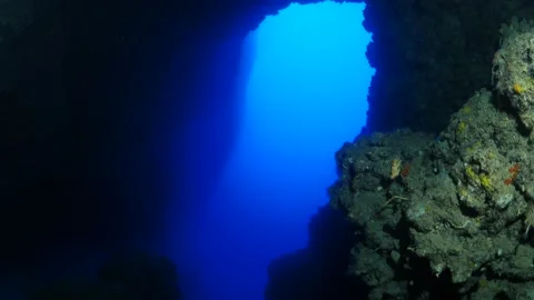 Cave diving underwater exploring ocean scenery sun beams and rays background Stock Footage 166534876