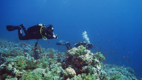 Cave diving underwater scuba divers exploring cave dive. Red Sea Egypt Stock Footage 125416527
