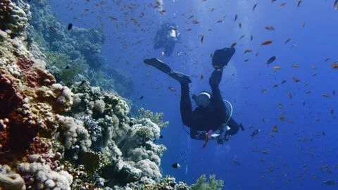 Cave diving underwater scuba divers exploring cave dive. Red Sea Egypt Stock Footage 133309750