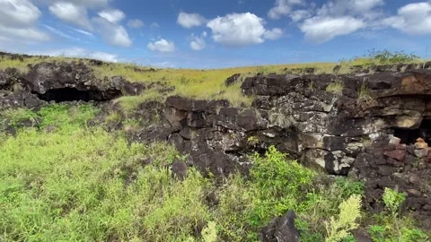 Cave in Easter Island 動画素材 342841090