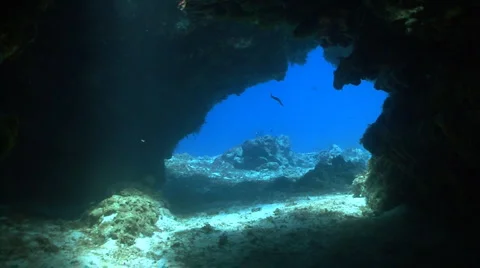 Cave entrance with eel underwater Stock Footage 3399320