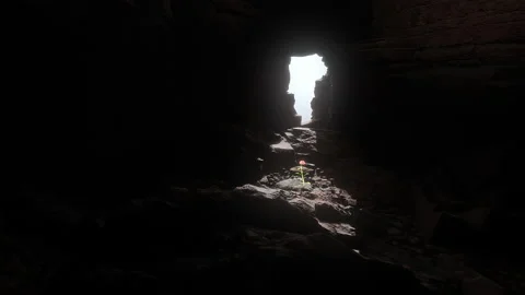 Cave with flower Video stock 196219593