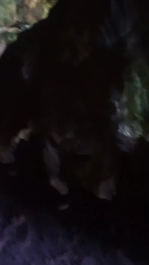 In the cave 動画素材 205251992