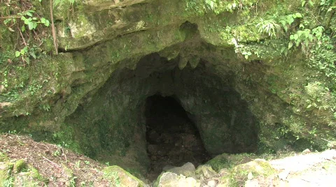 Cave in the forest Video stock 489326
