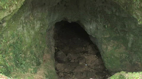 Cave in the forest Video stock 489327