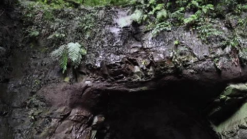 Cave in the forest Stock Footage 320587020