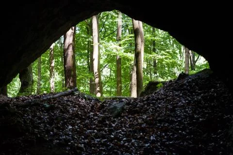 Cave in forest Stock Photos