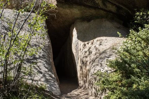 Cave in a forest 写真素材