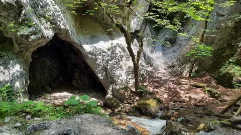 Cave in the forest Stock Photos