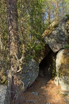 Cave in forest. Stock Photos