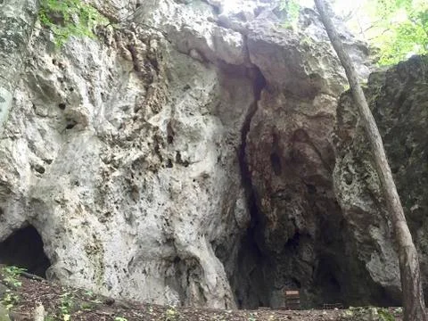 A cave in the forest under the mountain Stock Photos