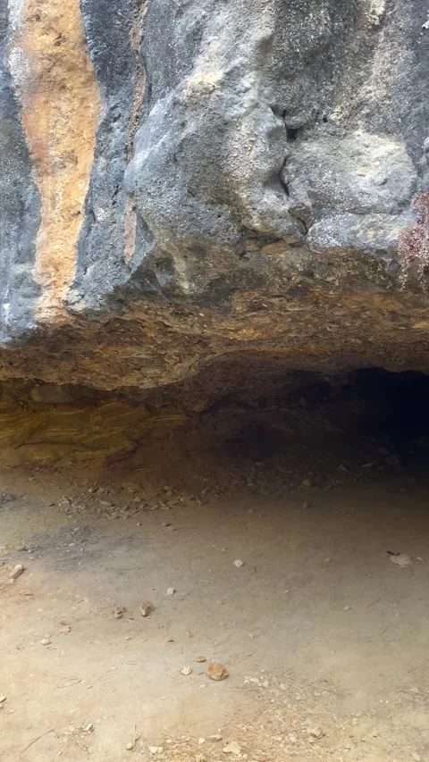 Cave. Gorge. Nature. Forest. Vertical video Stock Footage 286333424