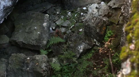 Cave with grass Видео 55153076