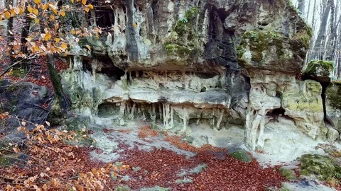 The Cave Grotto in the forest Stock Footage 120611875