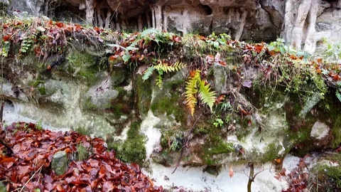 The Cave Grotto in the forest Stock Footage 120611968