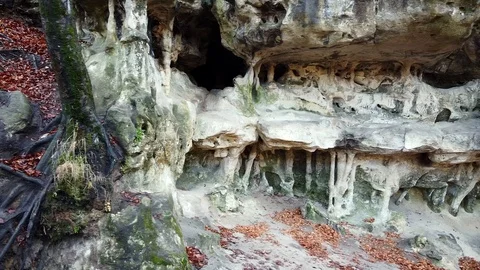 The Cave Grotto in the forest Stock Footage 120612111