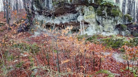 The Cave Grotto in the forest Stock Footage 120612342