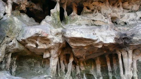 The Cave Grotto in the forest Stock Footage 120612473