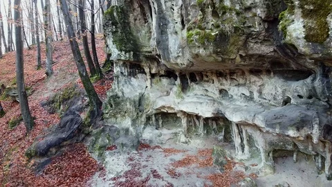 The Cave Grotto in the forest Stock Footage 120612607