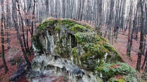 The Cave Grotto in the forest Stock Footage 120612677