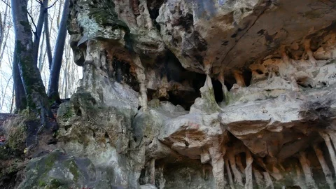 The Cave Grotto in the forest Stock Footage 120612723