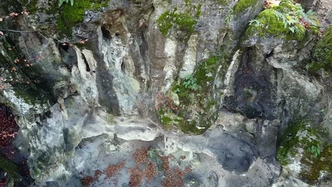 The Cave Grotto in the forest Stock Footage 120612779