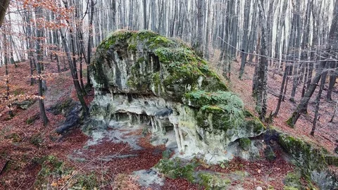 The Cave Grotto in the forest Stock Footage 120612806
