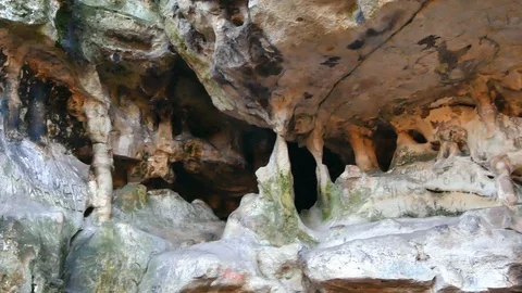 The Cave Grotto in the forest Stock Footage 120612864