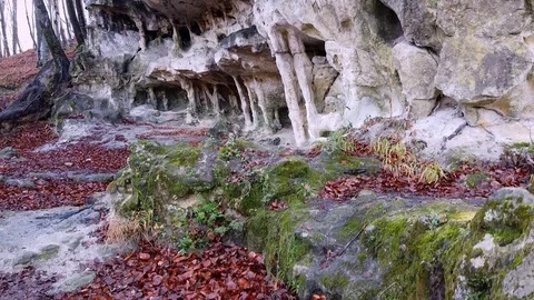 The Cave Grotto in the forest Stock Footage 120612931