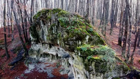 The Cave Grotto in the forest Stock Footage 120612994