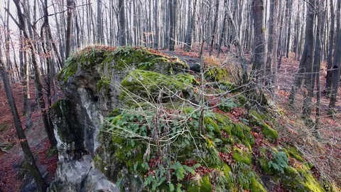 The Cave Grotto in the forest Stock Footage 120613059