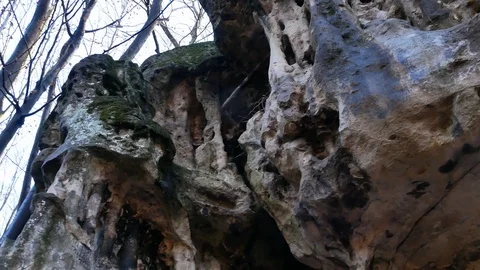 The Cave Grotto in the forest Stock Footage 120613111