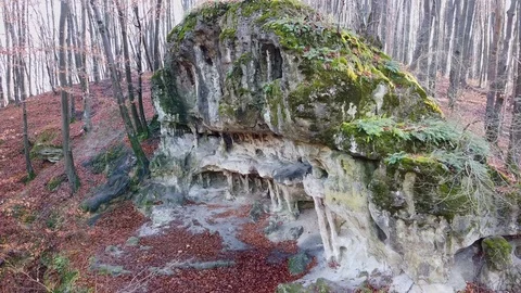 The Cave Grotto in the forest Stock Footage 120613143