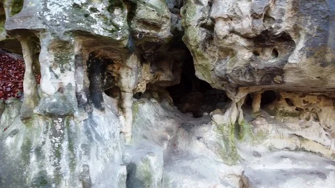 The Cave Grotto in the forest Stock Footage 120613232