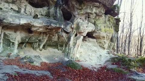 The Cave Grotto in the forest Stock Footage 120613484