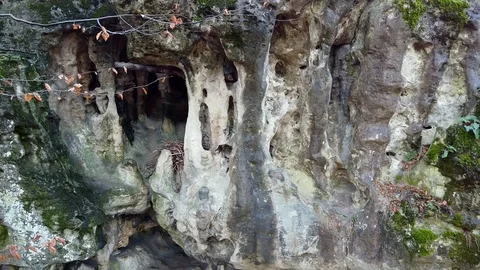 The Cave Grotto in the forest Stock Footage 120613632