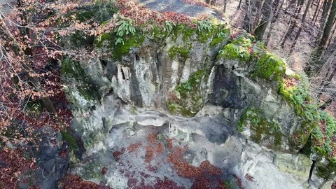 The Cave Grotto in the forest Stock Footage 120613752