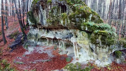 The Cave Grotto in the forest Stock Footage 121006031